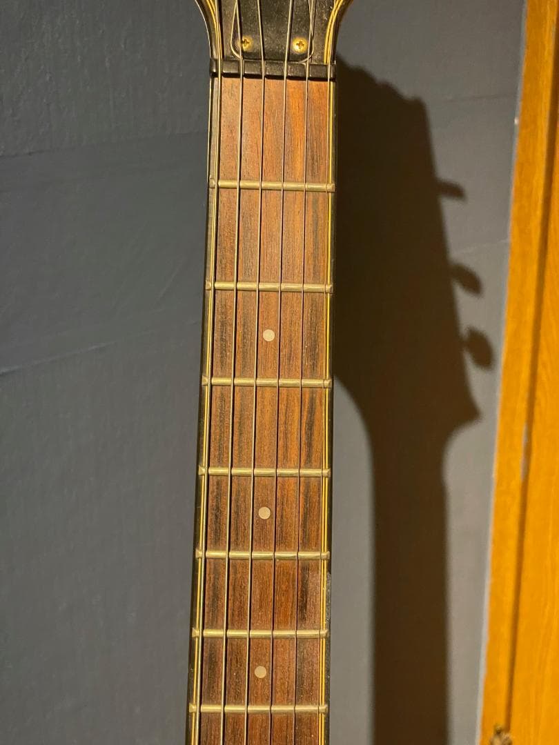 Aria Pro II TA-55　セミアコ？フルアコ？　希少動作品【1月限定】