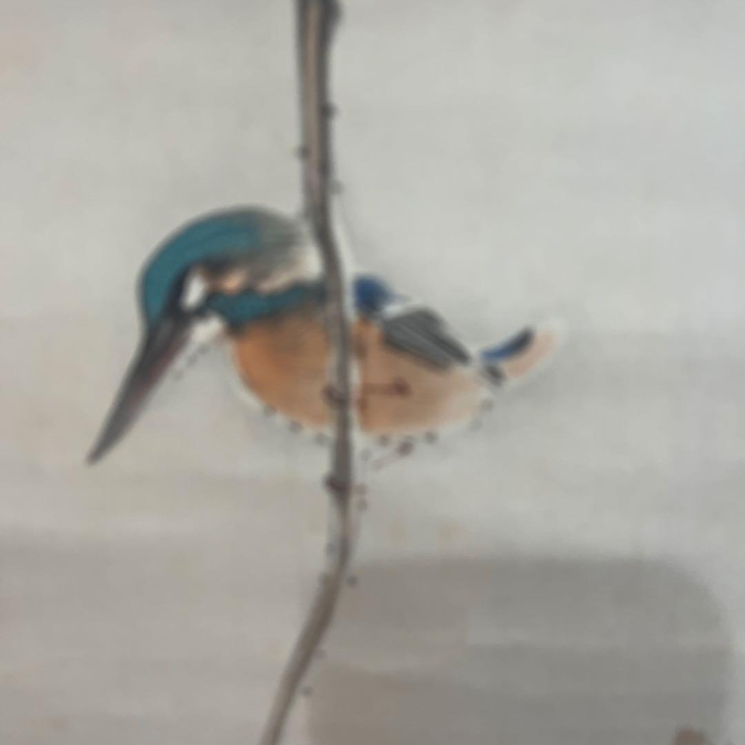 五雲作カワセミ 水墨画 掛軸