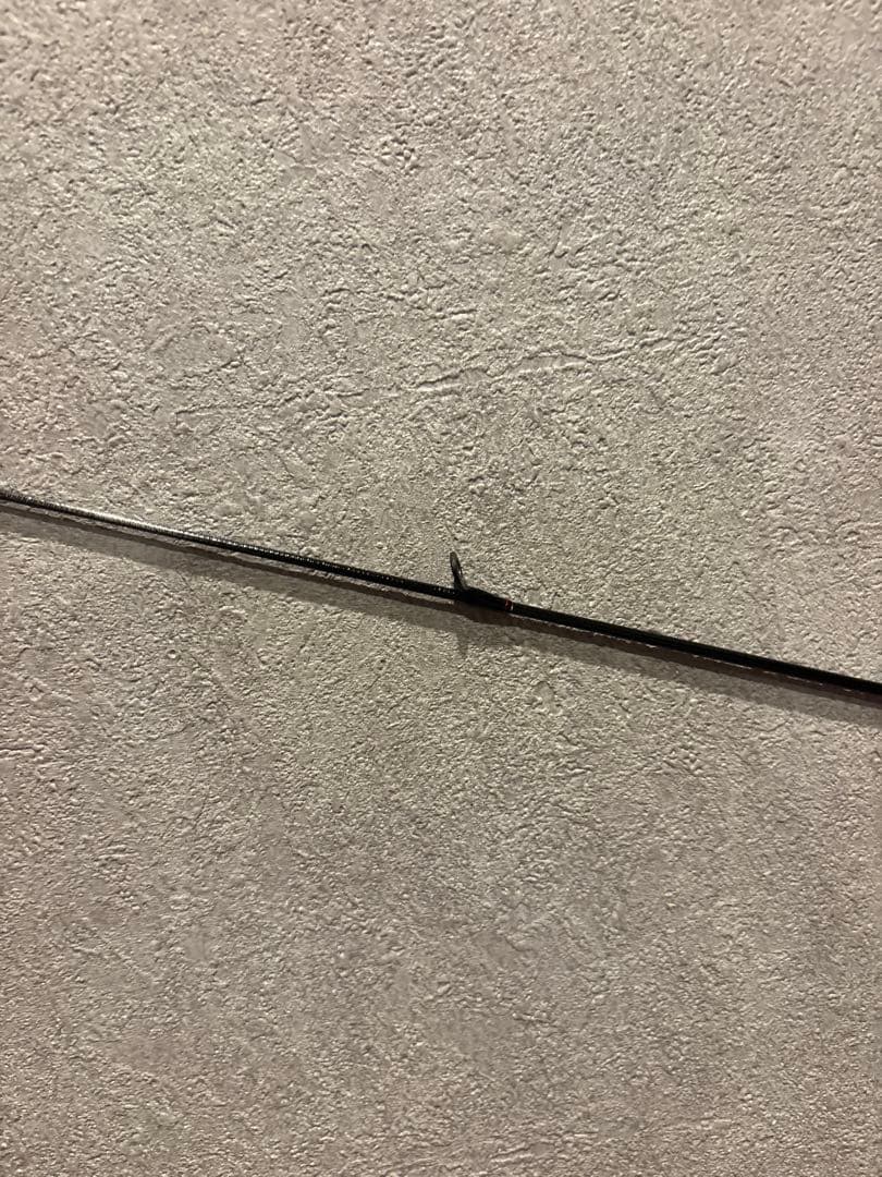 DAIWA EX AGS AJING& MX LT 2000S アジングセット