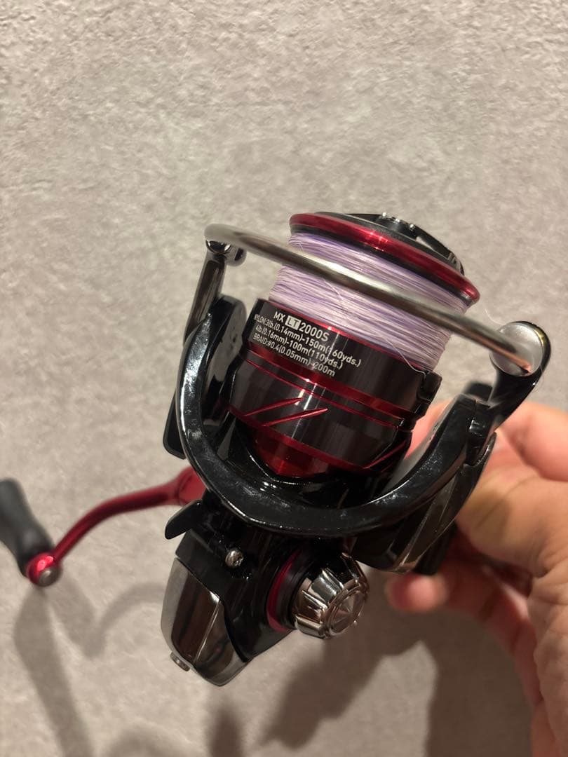 DAIWA EX AGS AJING& MX LT 2000S アジングセット