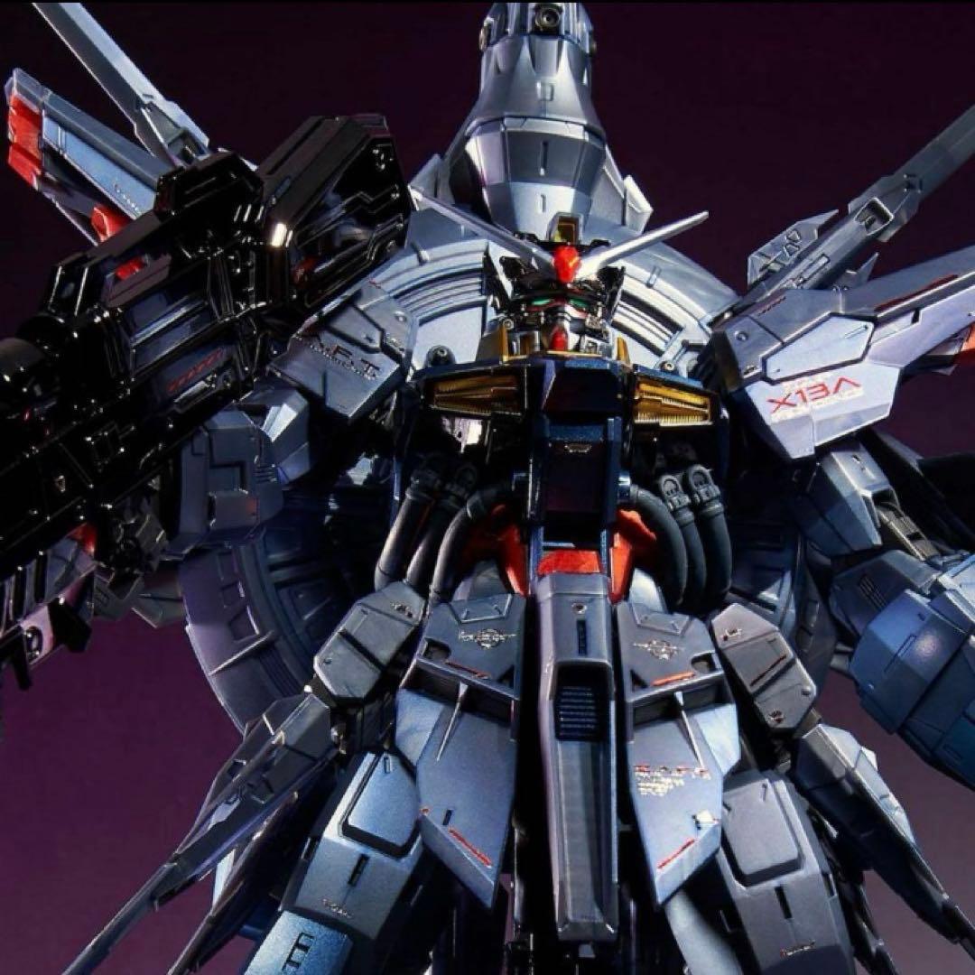 ＭＧ1/100 プロヴィデンスガンダム スペシャルコーティング 新品