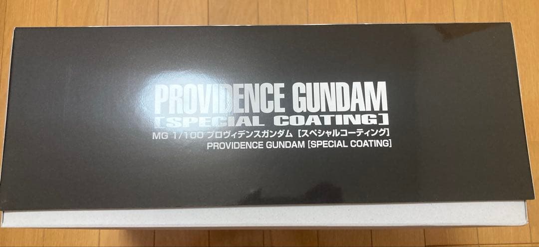 ＭＧ1/100 プロヴィデンスガンダム スペシャルコーティング 新品