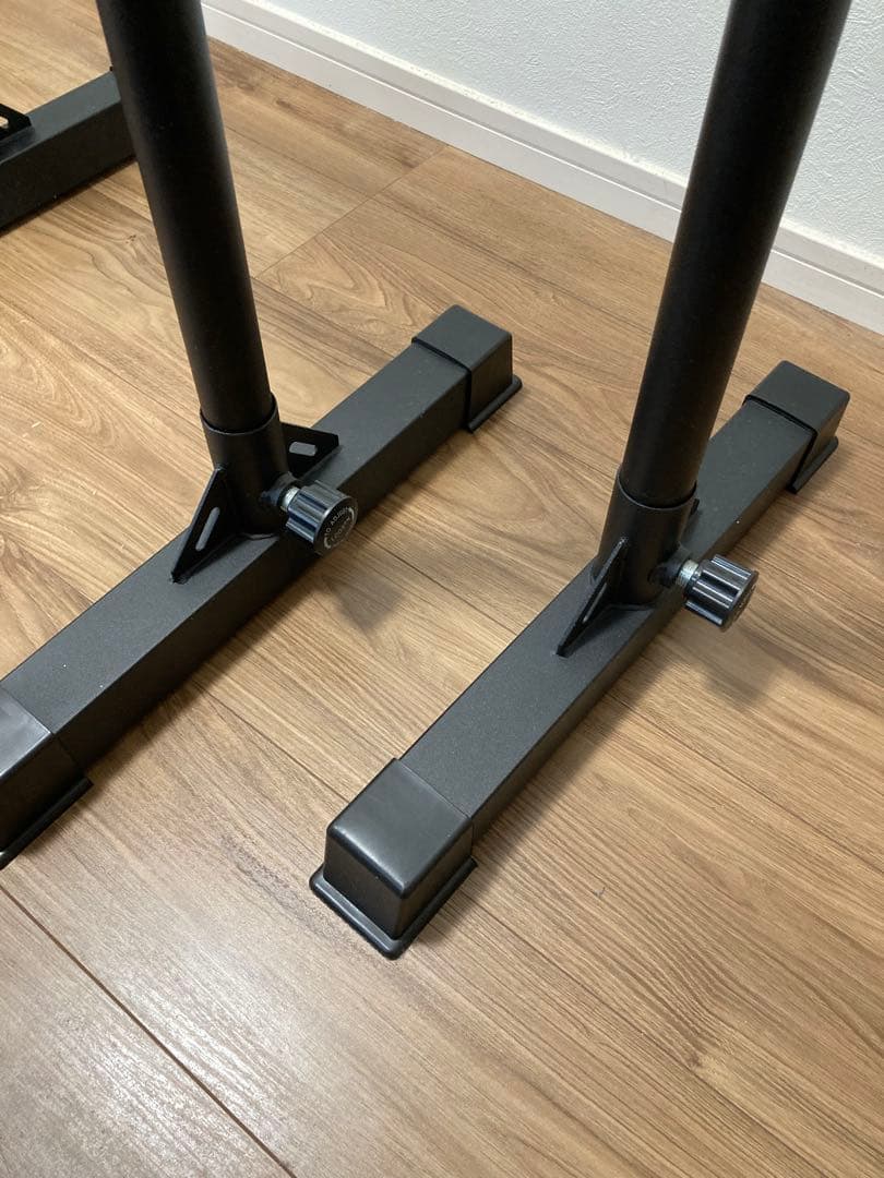 Steady ディップスバー