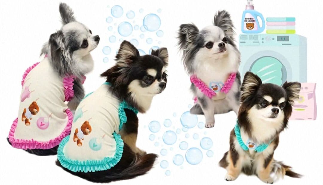 C Laundry Bearフリルタンク＆マット セット　circusサーカス