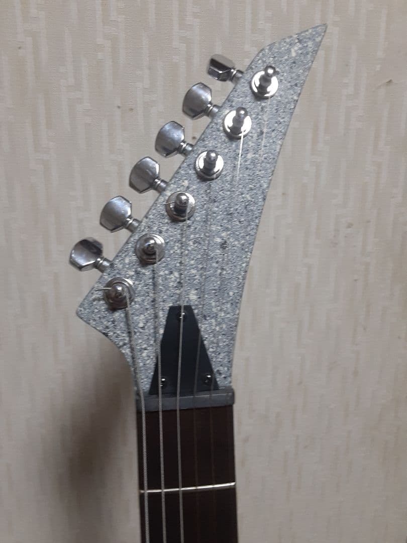 布袋モデル コンクリートFERNANDES エレキギター TEJ