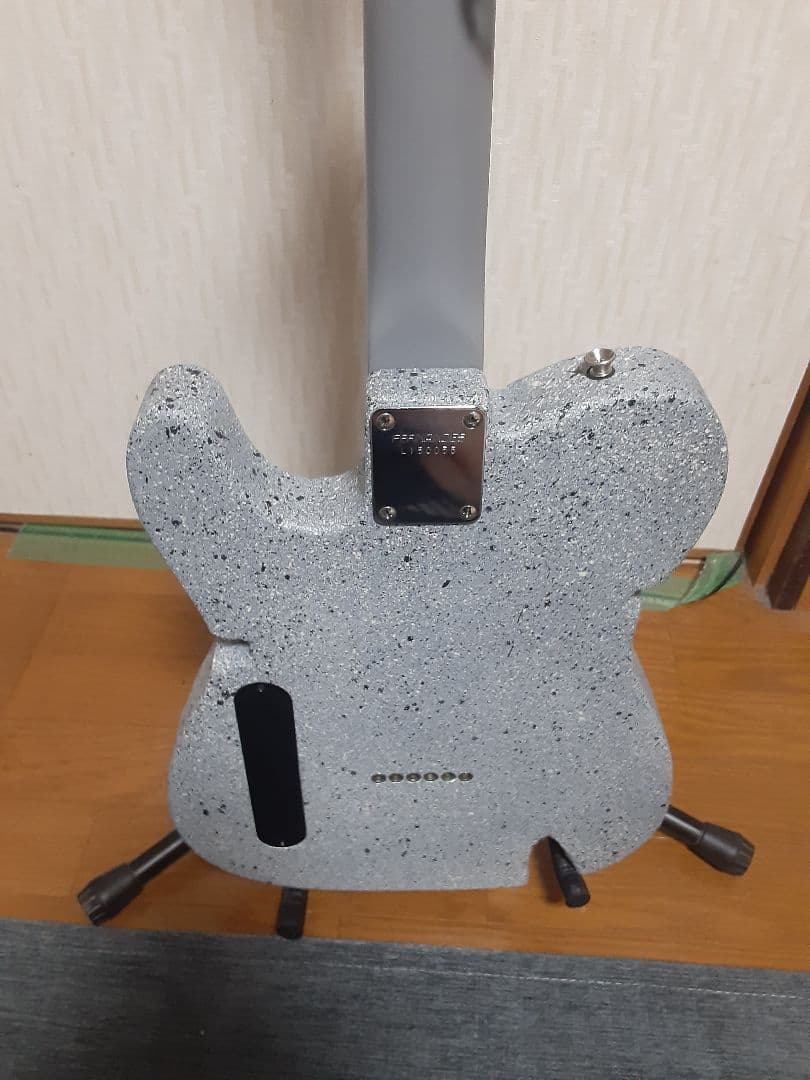 布袋モデル コンクリートFERNANDES エレキギター TEJ