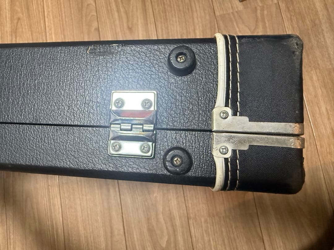 初期 FERNANDES MG用 ハードケース