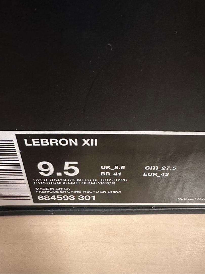 LEBRON XII レブロン12　NIKE バッシュ　ナイキ