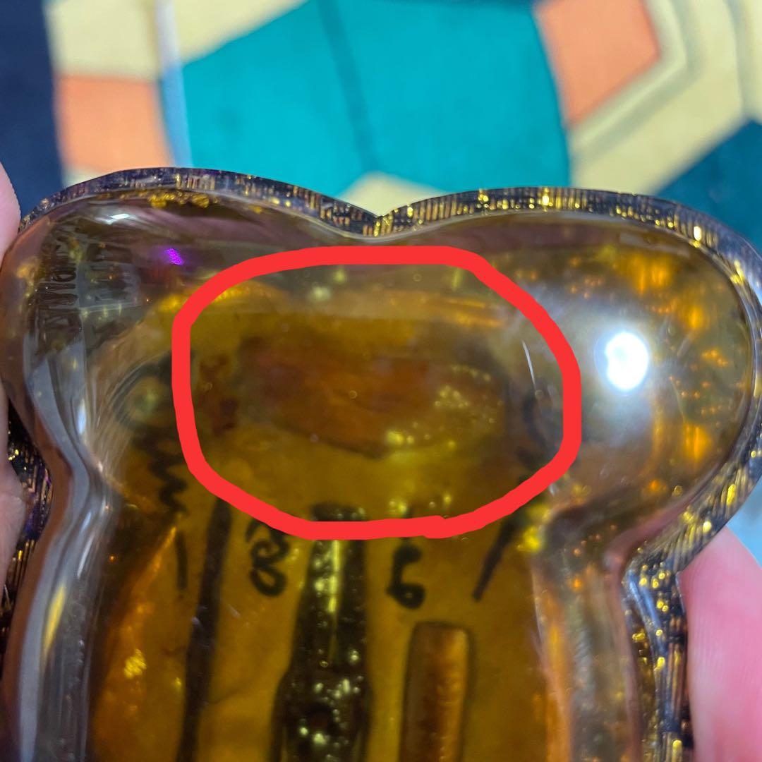 レア大特価　入手困難本物超特大ンガン様　秘密骨入り　全ての人間の欲望を叶える