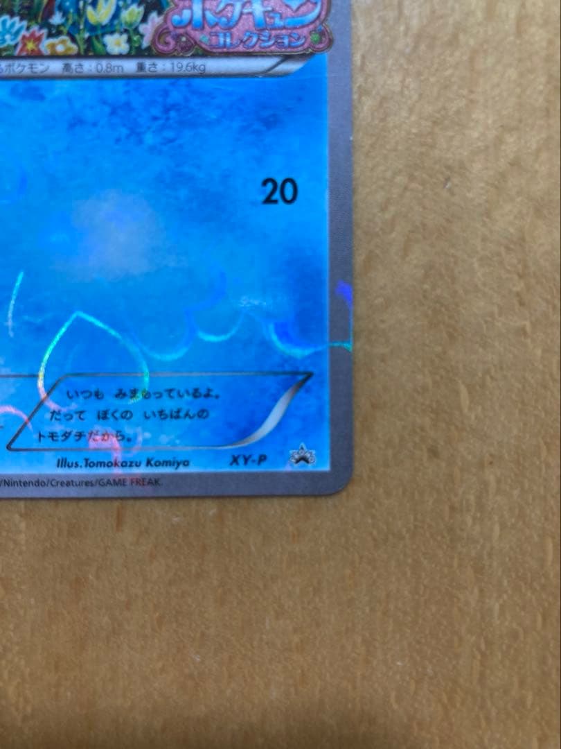 ポケモンカード コダック ポケキュンコレクション XY-P 増田順一コラボプロモ