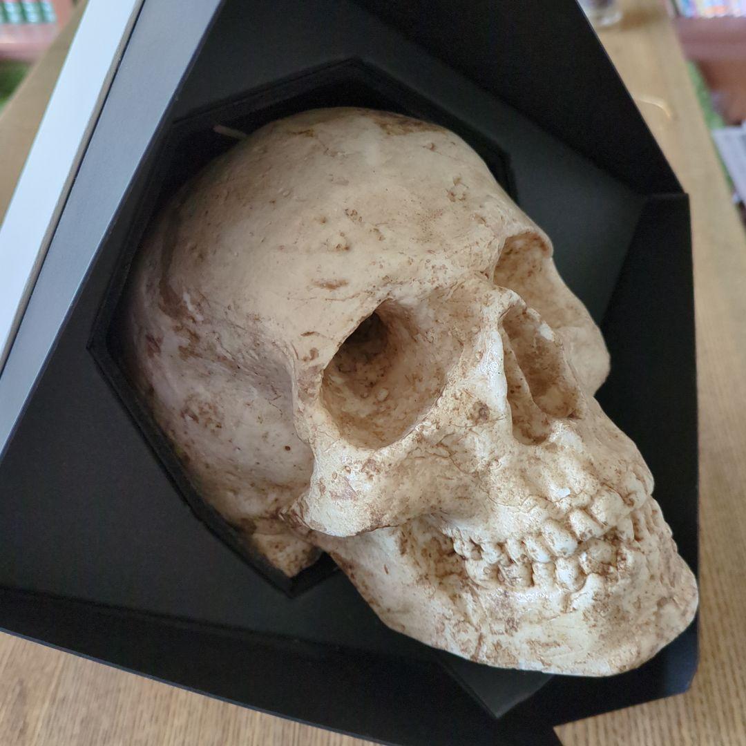 ドクロウ　キャンドルジュン