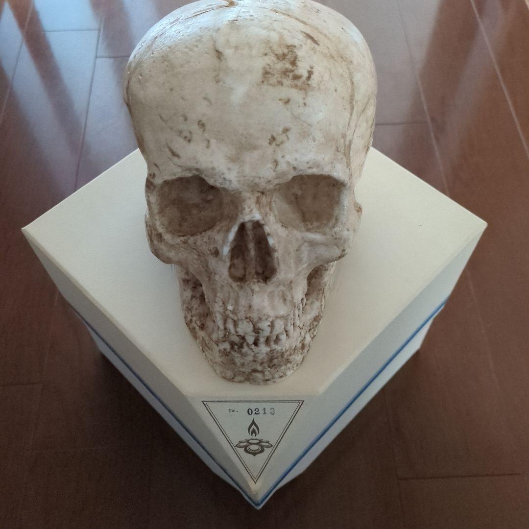 ドクロウ　キャンドルジュン