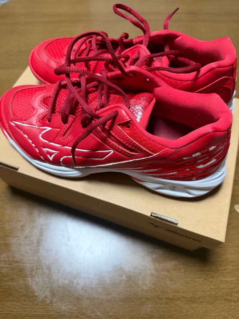 ミズノ バドミントンシューズ BDSS 25.5