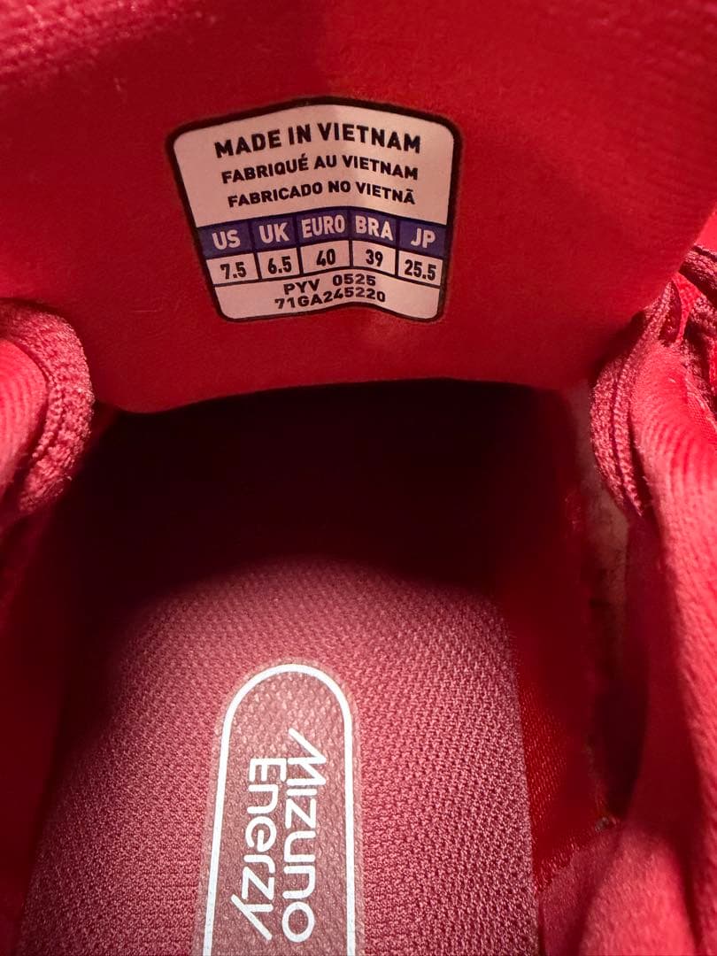 ミズノ バドミントンシューズ BDSS 25.5