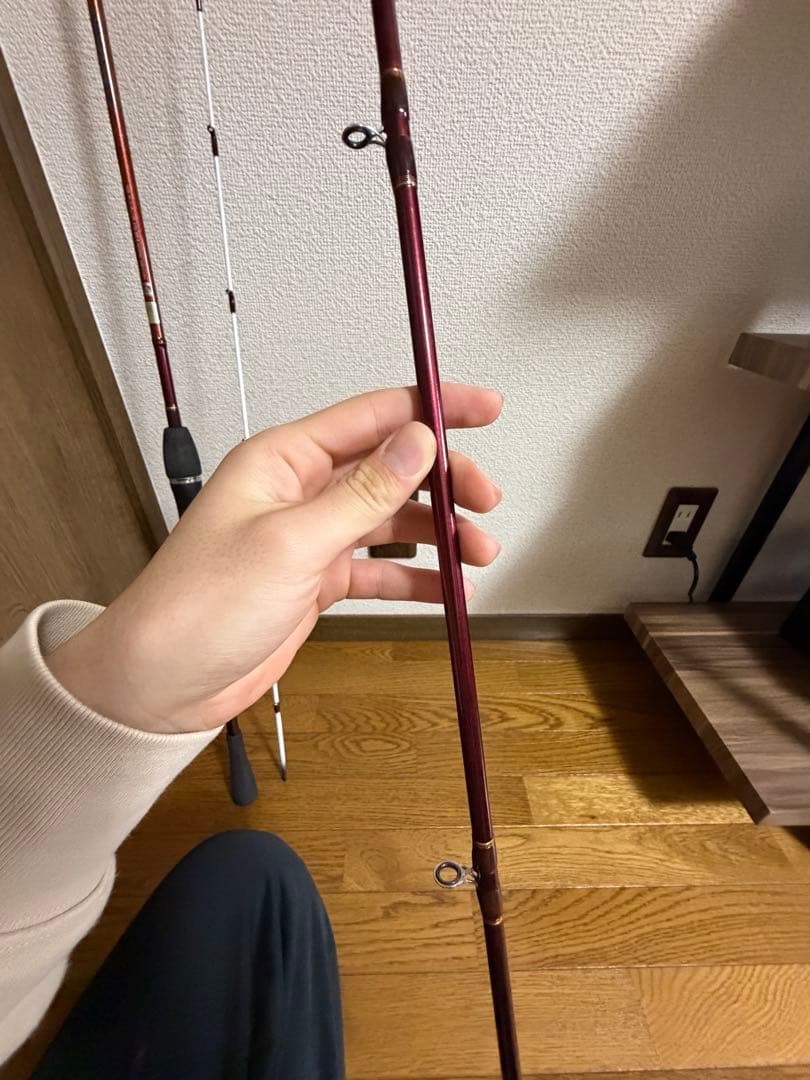 ダイワリーディングxメバル300-Ⅱ