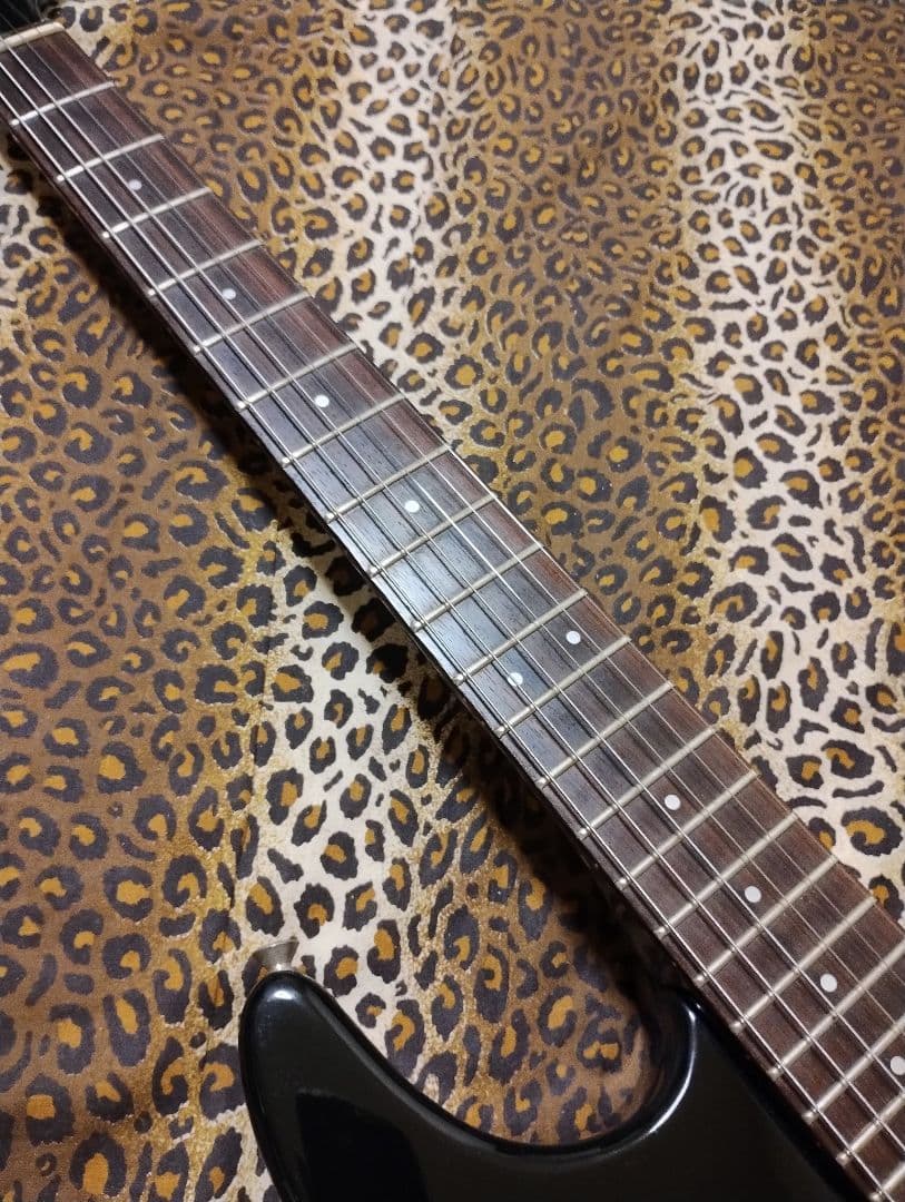 Fernandes function/Lシリアル89年製/JAPANビンテージ