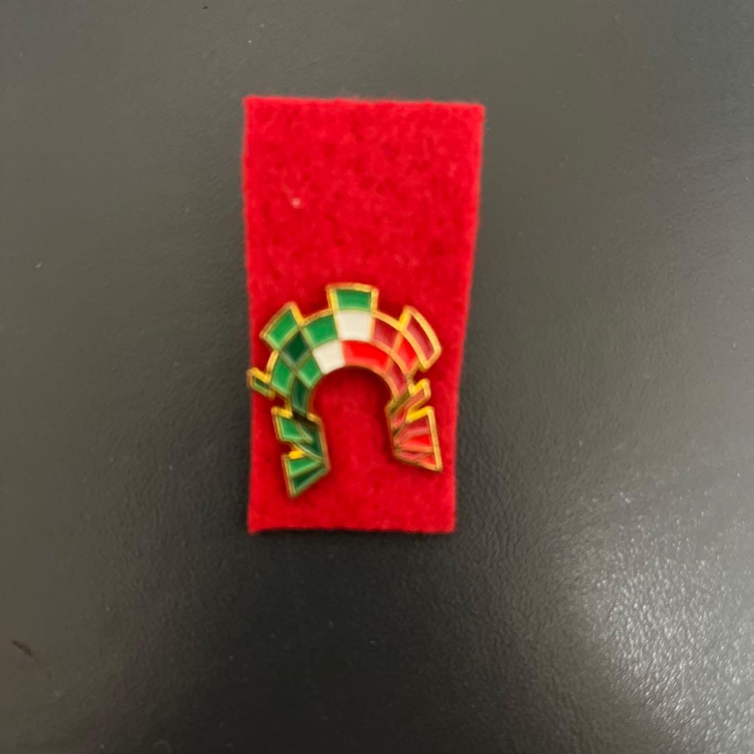 【現状最安値！】大阪・関西万博　イタリアパビリオン　ピンバッジ