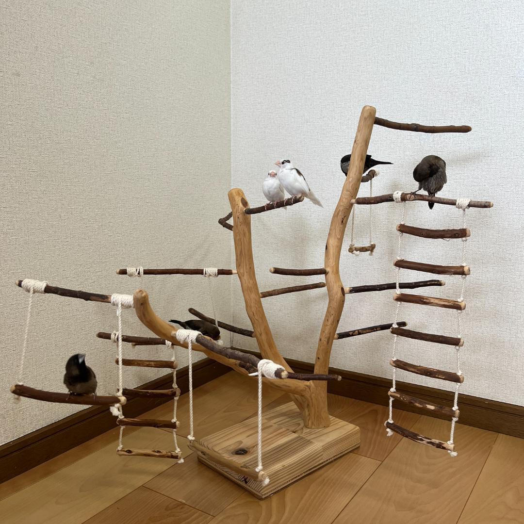 【小鳥用】あちこちブランコ&はしご付♬バードジム