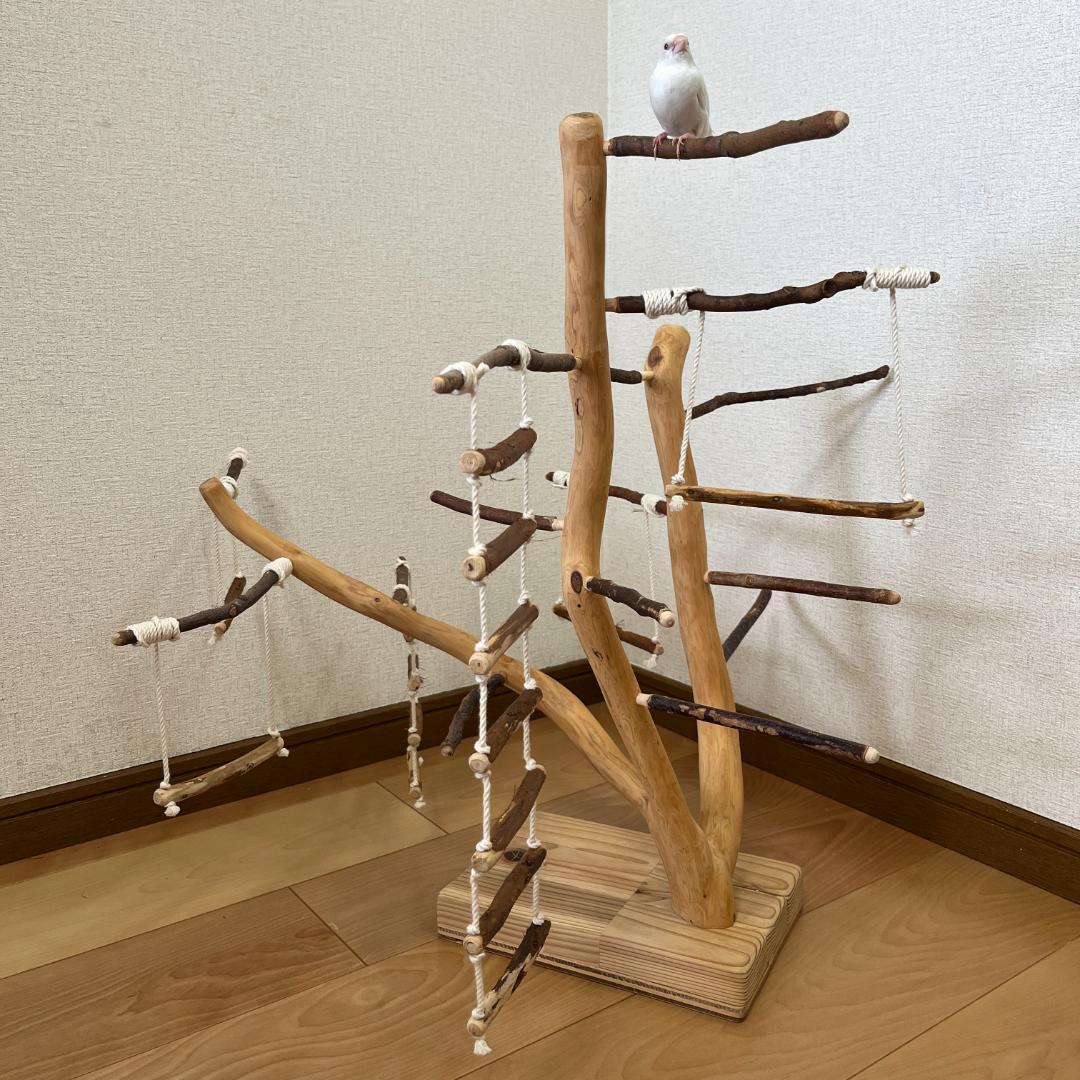 【小鳥用】あちこちブランコ&はしご付♬バードジム