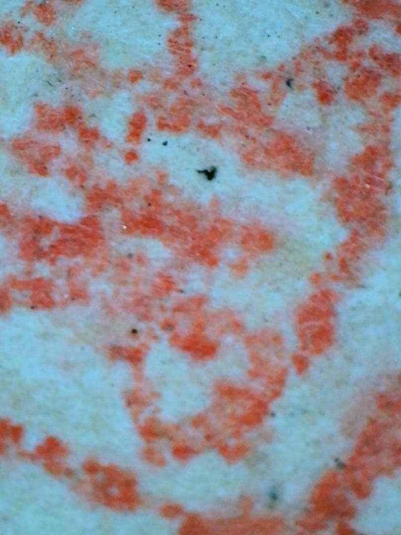 処分価格　狩野伊川院栄信 掛軸