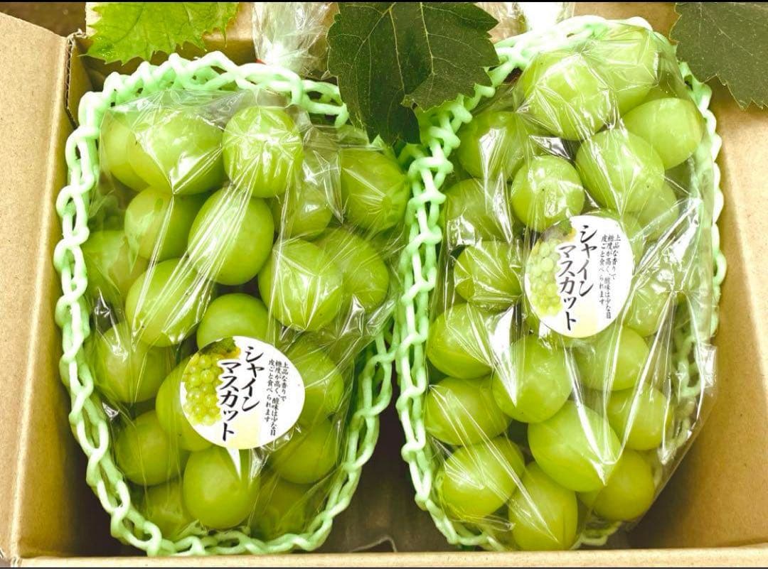 2日発送　COCOページ　クール便