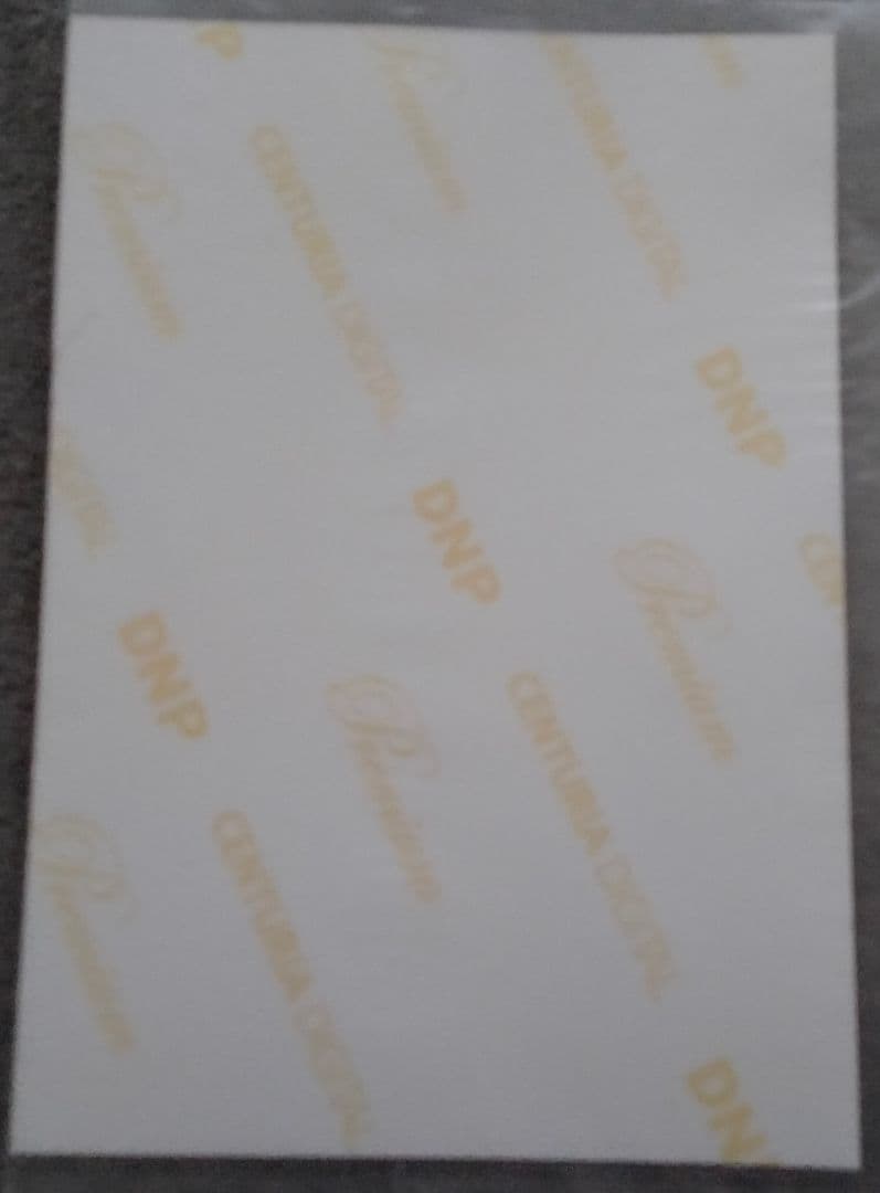 河西智美　1830m　生写真　AKB48　チームB　非売品　特典　希少　入手困難