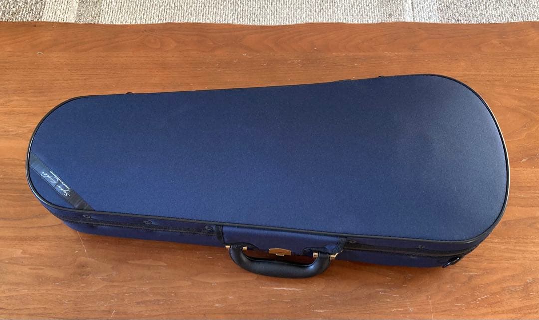 バイオリンケース 機内持ち込み