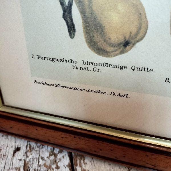 イタリア ヴィンテージ 大判 無垢 木枠 額装 アート パネル 大型 特大 美術