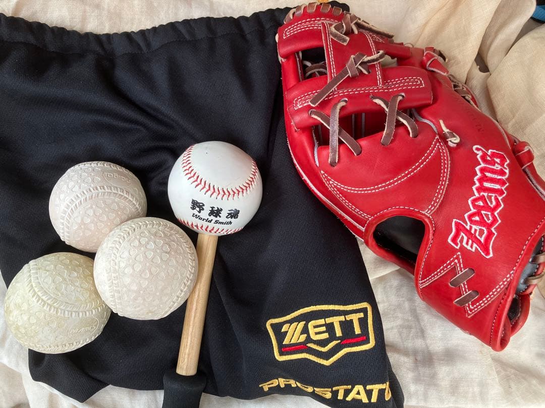 Zaems 硬式グローブ レッド SV520SBHN