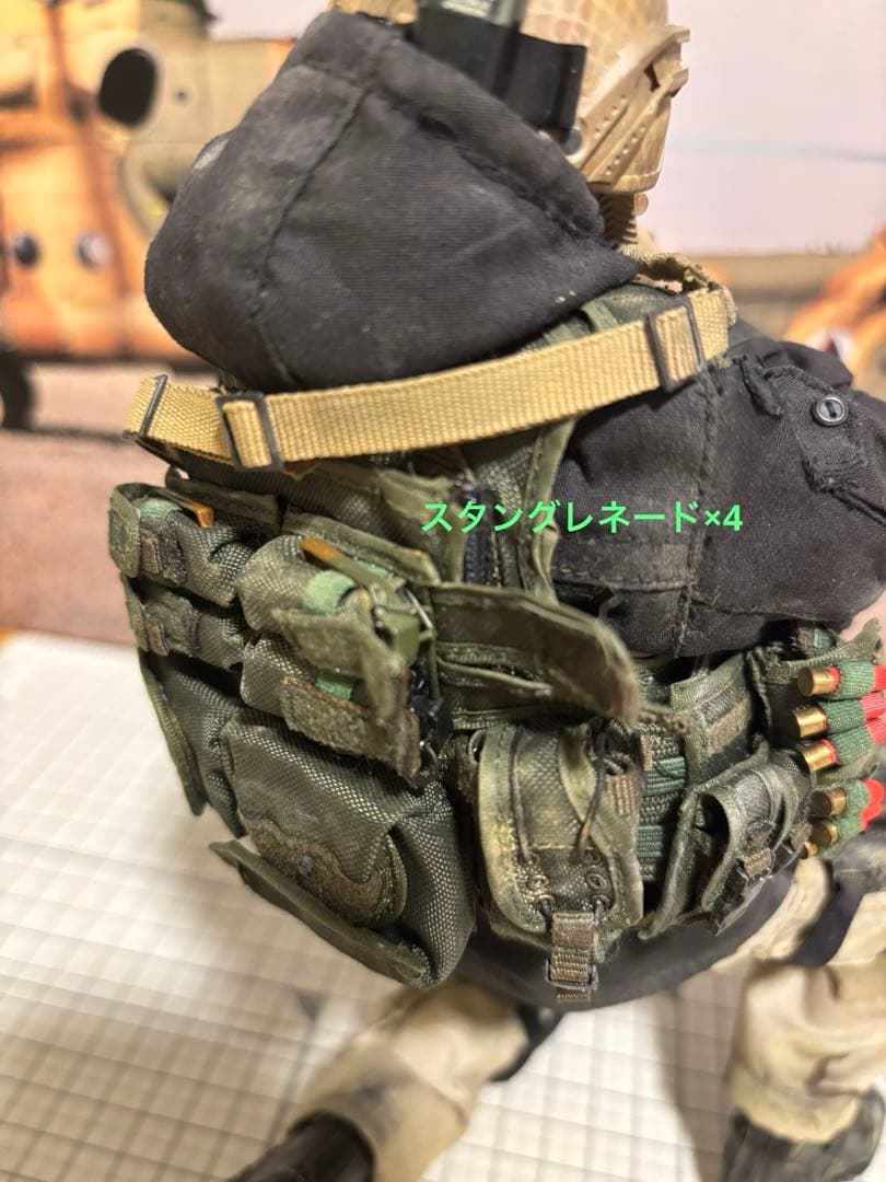 WARFARE風ミリタリーフィギュア damtoys 12インチ カスタム