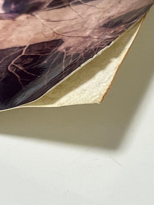 1989年 LUNACY LUNASEA デビュー前の写真