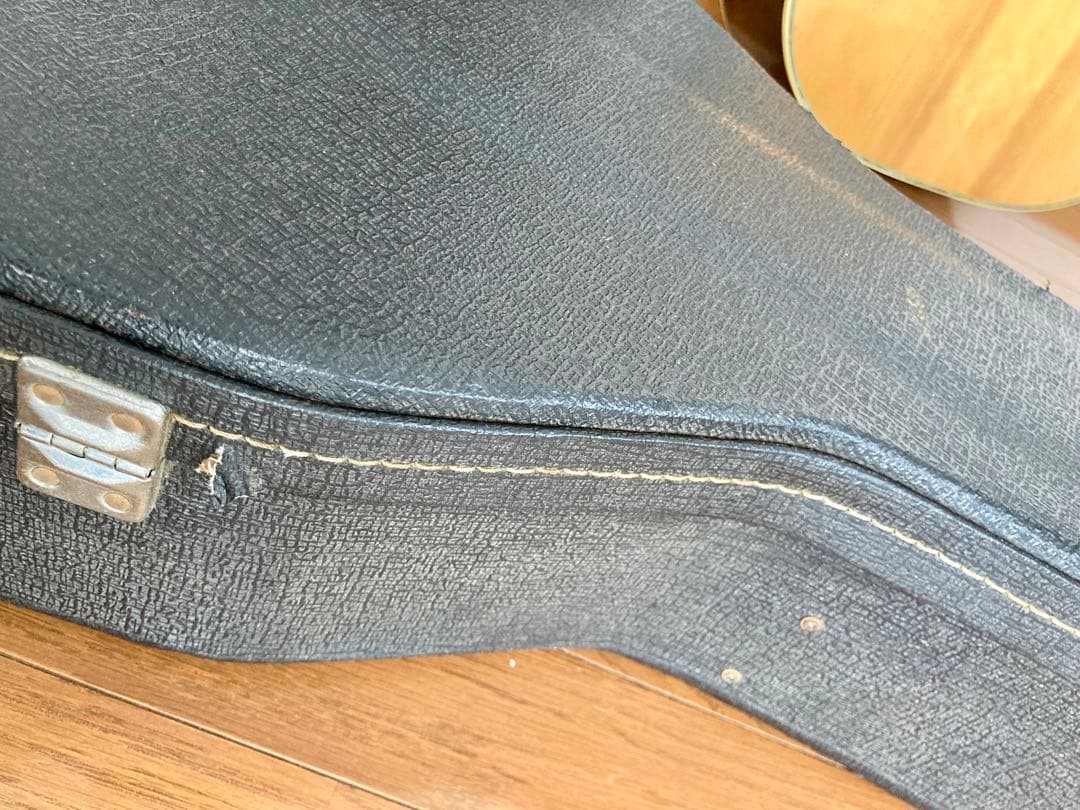 Rider. R-400D & L.R.Baggs M80 PU付き