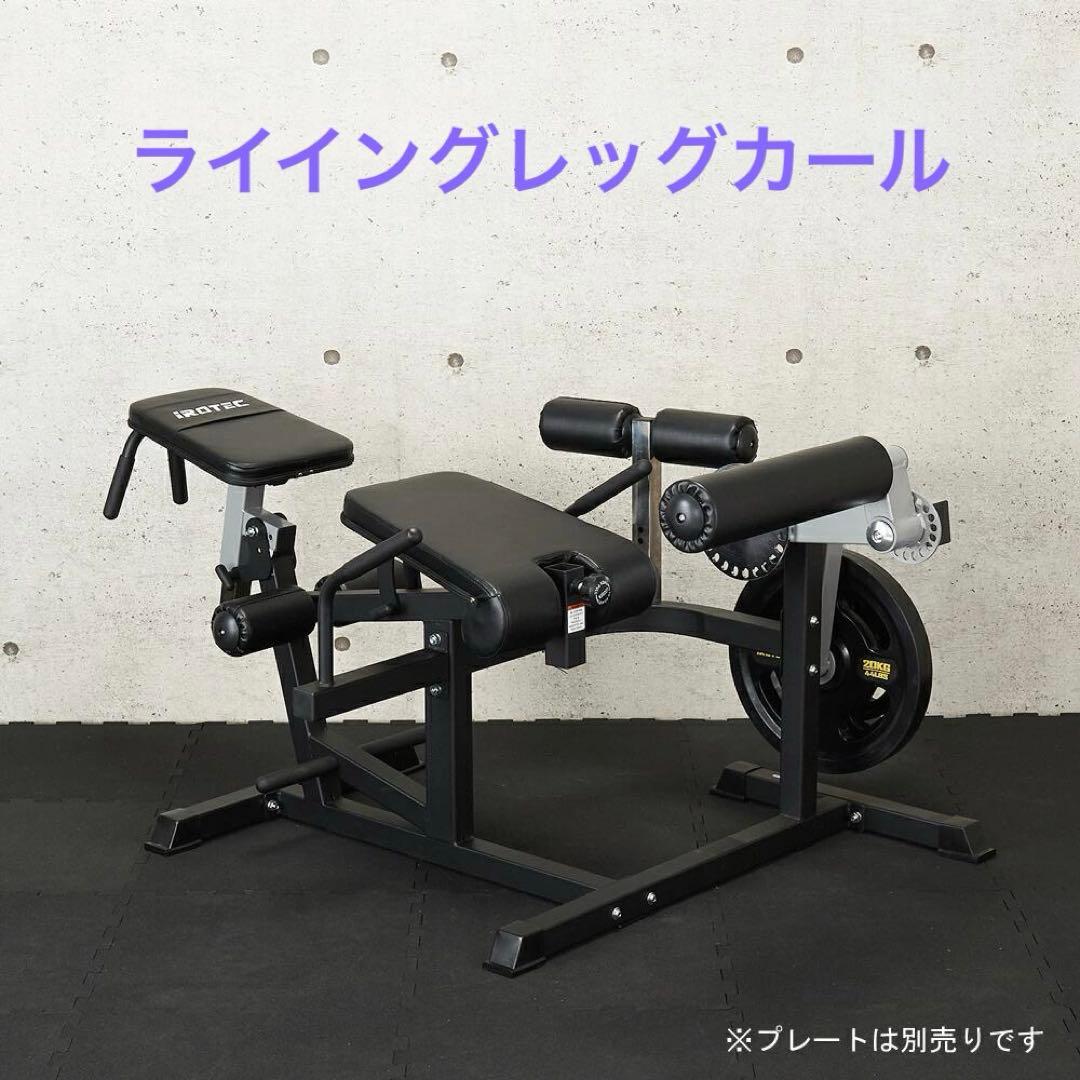 アイロテック IROTEC PRO レッグストレングスマシン　タフスタッフGFC