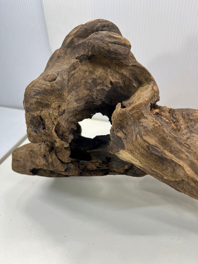 V67アク抜き済み流木 爬虫類シェルター 登り木 インテリア 生け花