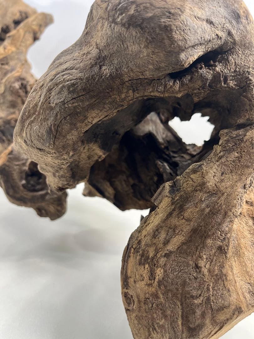 V67アク抜き済み流木 爬虫類シェルター 登り木 インテリア 生け花