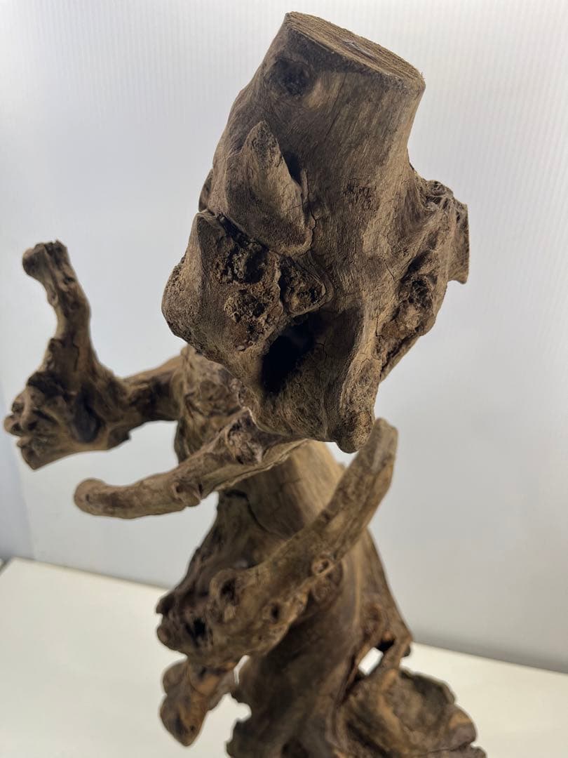 V67アク抜き済み流木 爬虫類シェルター 登り木 インテリア 生け花