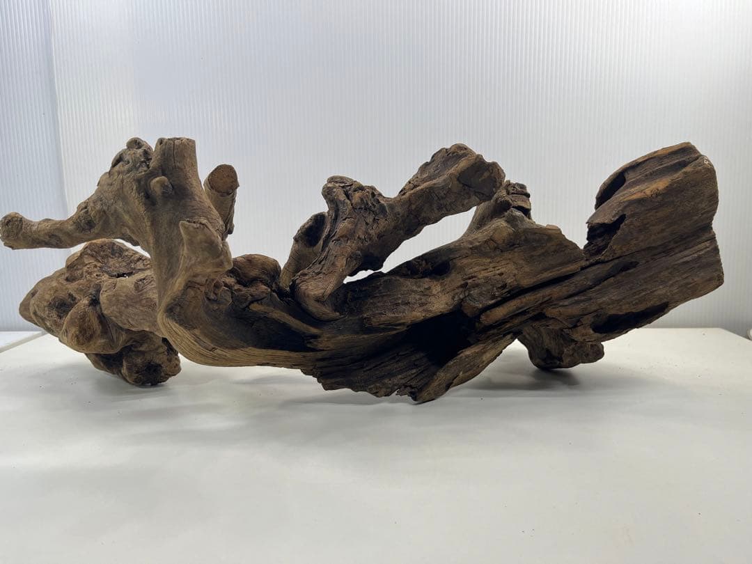 V67アク抜き済み流木 爬虫類シェルター 登り木 インテリア 生け花