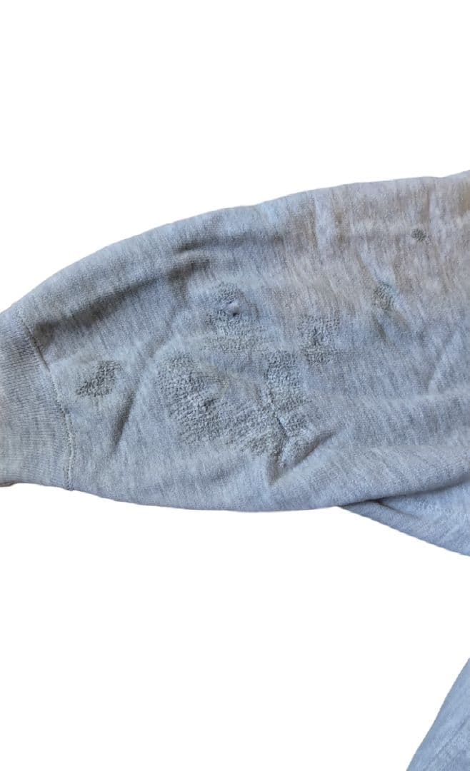 90s リバースウィーブ　チャンピオン　ハーフスナップボタン　ワンポイント　ボロ