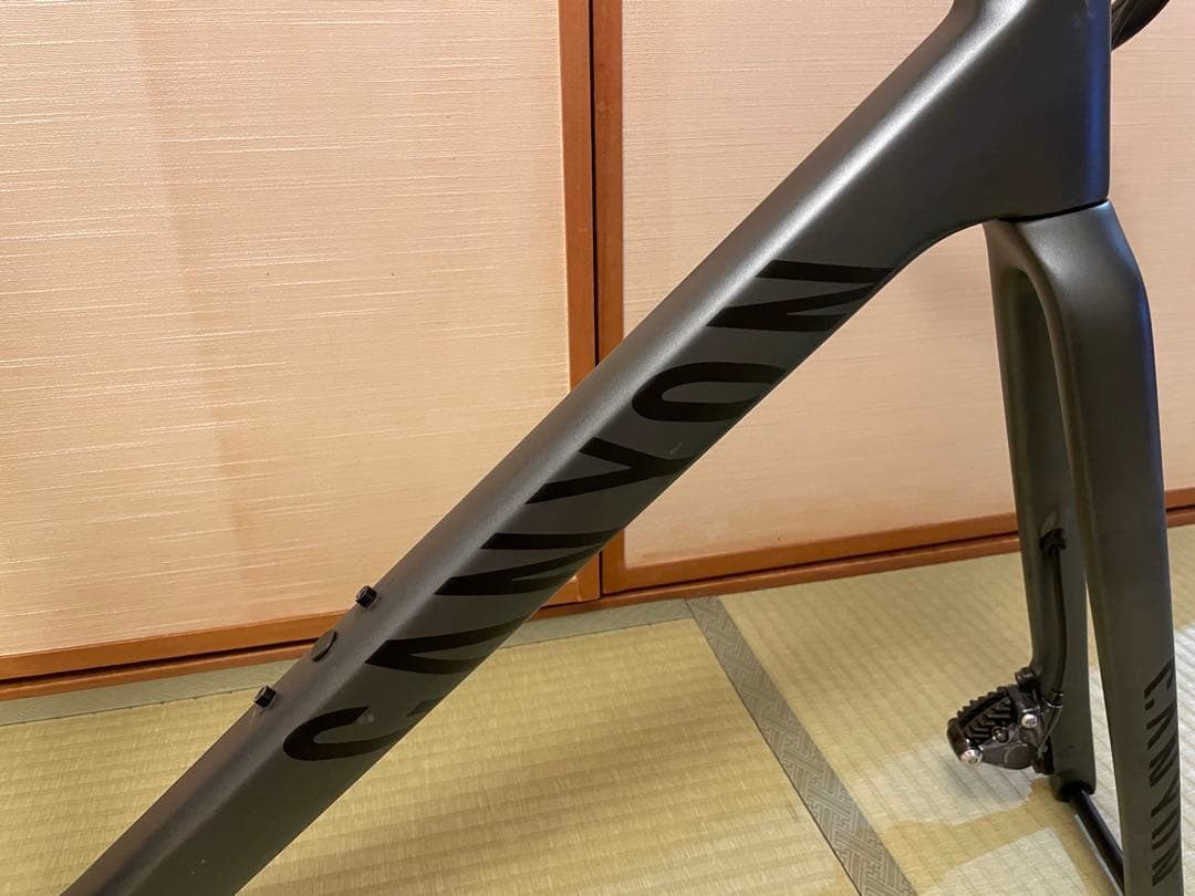 CANYON ULTIMATE CF SLX 再塗装　美品　最終値下げ