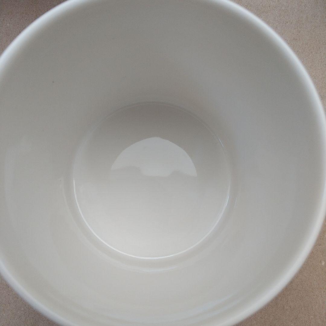 未使用 MOOMIN マグ カラーBox入り スナフキン ミイ フローレン２個組