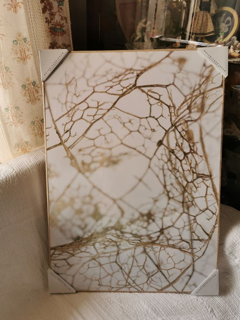 未開封デンマーク アートパネル マレリファブリケン 白木オーク リーフスケルトン