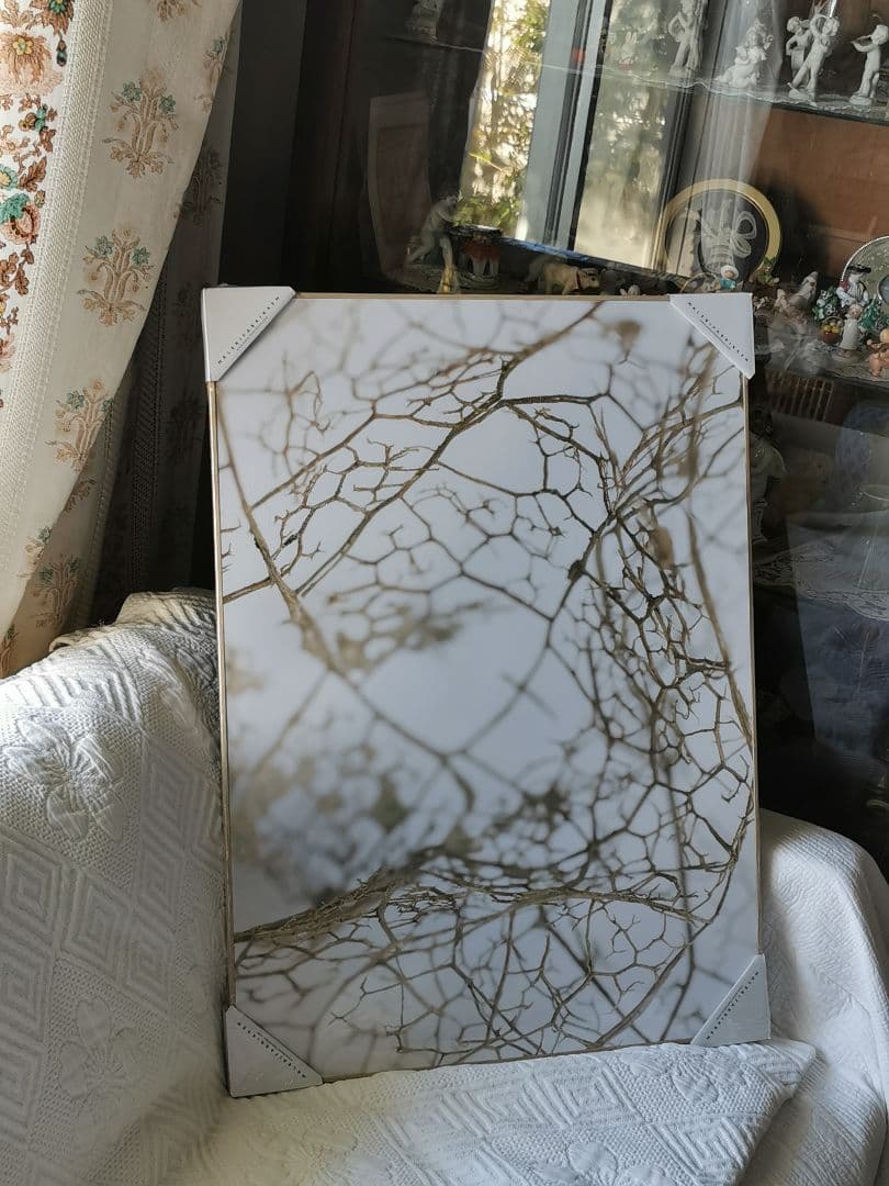 未開封デンマーク アートパネル マレリファブリケン 白木オーク リーフスケルトン