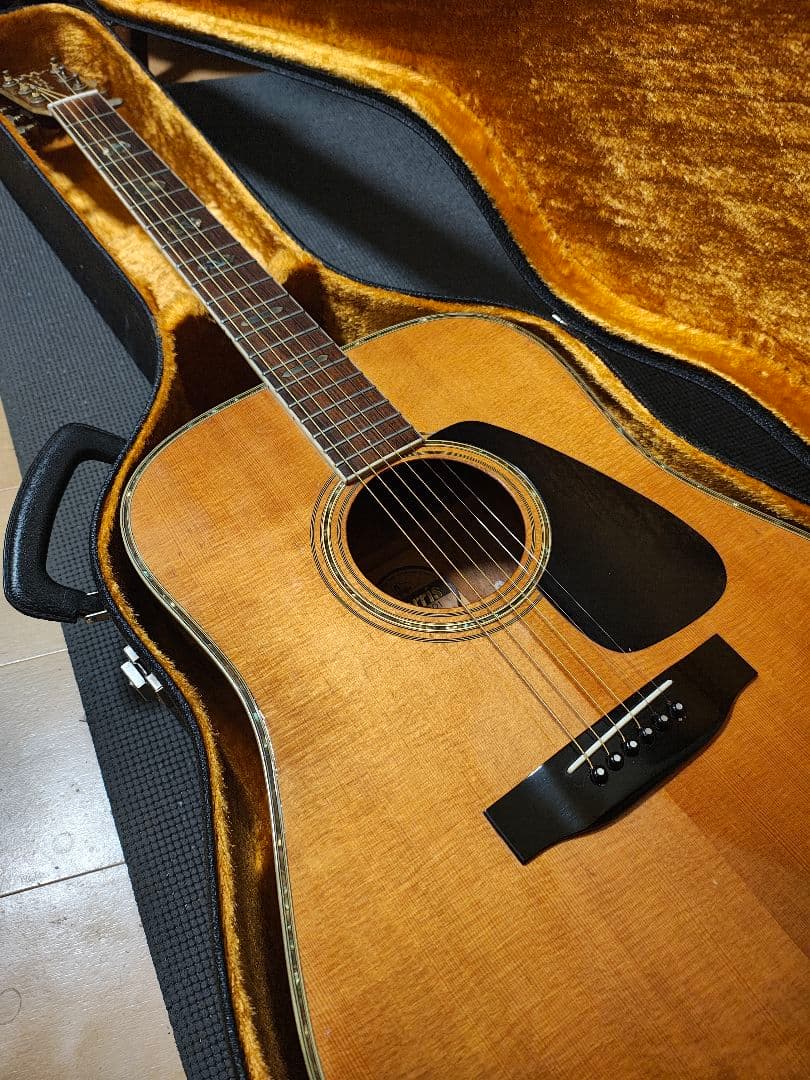 Morris TF-801ハカランダ/訳あり