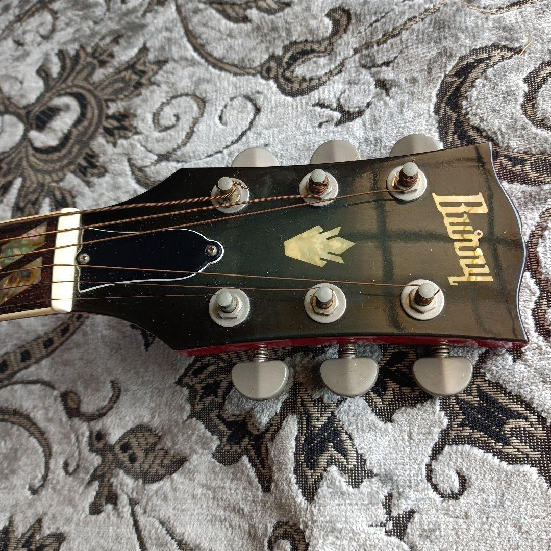 DOVEダヴモデル Burny BD-85 バーニー フェルナンデス 百瀬さん