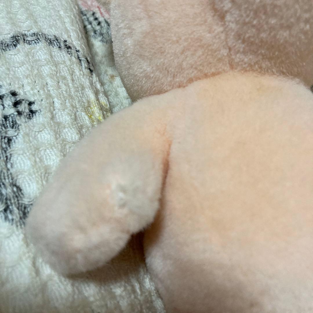 サンアロー　kipper ブタ　ぬいぐるみ　中古品