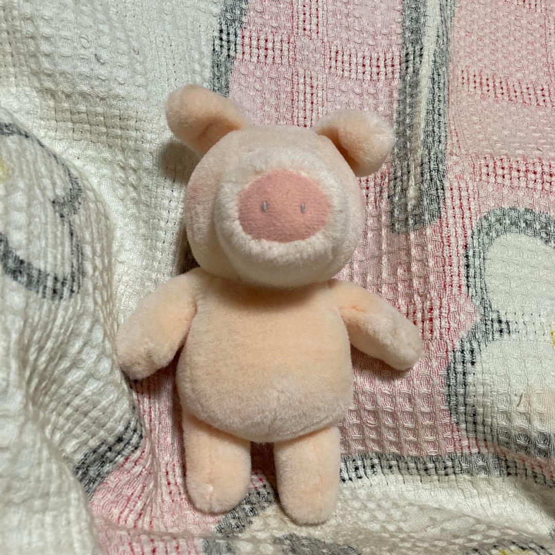 サンアロー　kipper ブタ　ぬいぐるみ　中古品