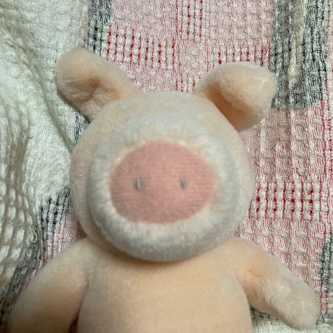 サンアロー　kipper ブタ　ぬいぐるみ　中古品