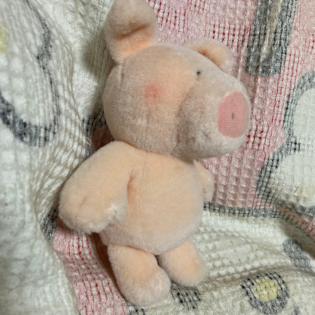 サンアロー　kipper ブタ　ぬいぐるみ　中古品