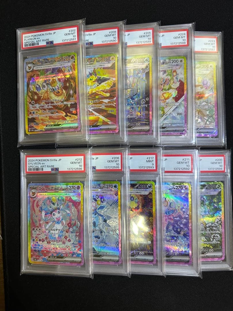 PSA連番　テラスタルフェス　ブイズ連番