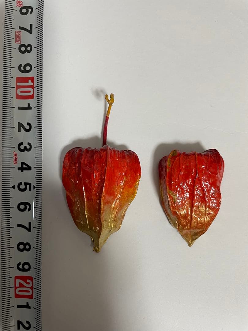 ほおずき　香合